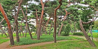Park und Gebäude der Seoul National University High School