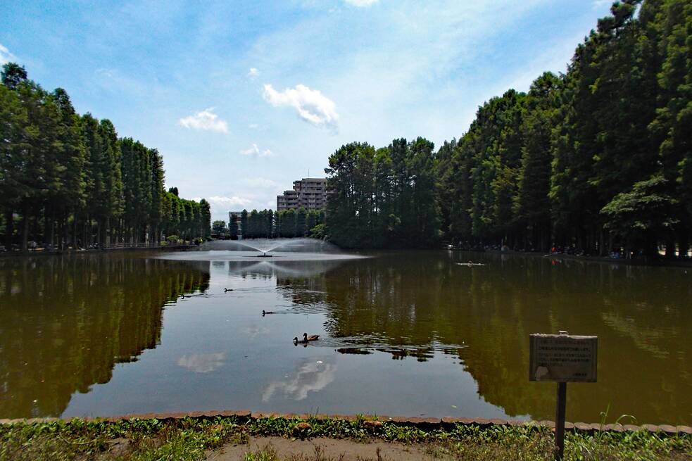 Ein Teich in einem Park, ein Springbrunnen im Hintergrund