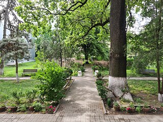 Schulgarten des Colegiul Naţional Unirea