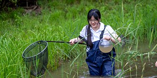 Eine junge Koreanerin steht tief im Wasser und hält in der einen Hand einen Kescher in der anderen eine Glasschüssel.