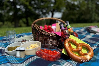 Auf einer blau karierten Decke sind ein Korb, eine Brezel, eine grüne Serviette, eine Plastikschale mit kleinen Tomaten, Salz und Pfefferstreuer, sowie Plastikschüsseln mit Gewürzgurken, Oliven und Käsewürfel arrangiert.