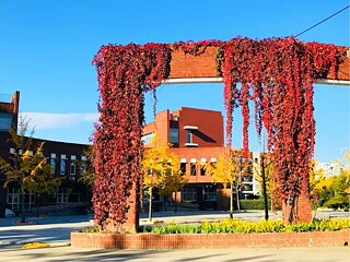 Beijing Foreign Languages School, Gebäude